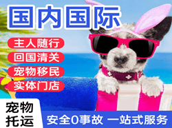 乌兰浩特航空货运国际宠物托运 【国